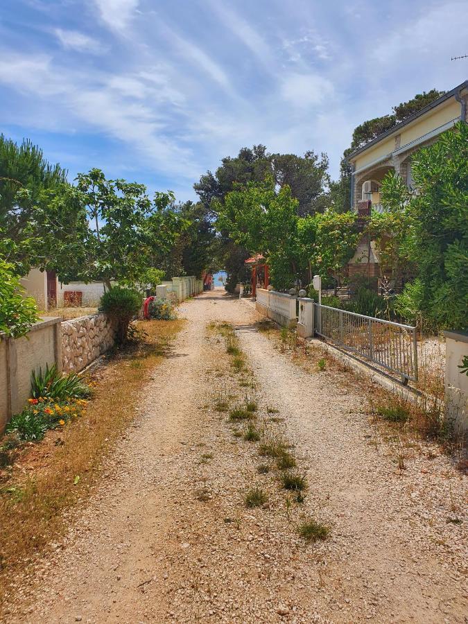 Apartmani Steli Vir Kültér fotó